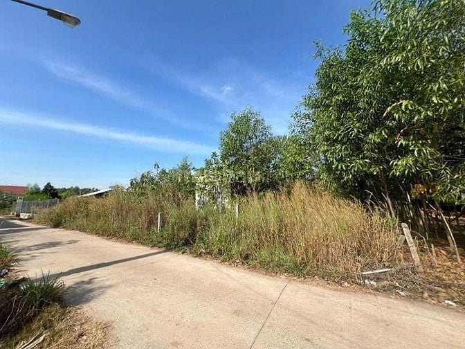 Công ty Đấu giá hợp danh Lam Sơn Sài Gòn THÔNG BÁO ĐẤU GIÁ TÀI SẢN
