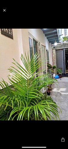 Cho thuê nhà hẻm 4m Cách Mạng Tháng 8, P.10, Q.3 giá 11.9tr