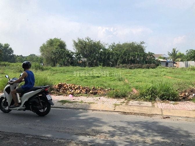 Cần bán 131m² đất thổ Giá 700 triệu tại Tân Phú Trung, huyện Củ Chi