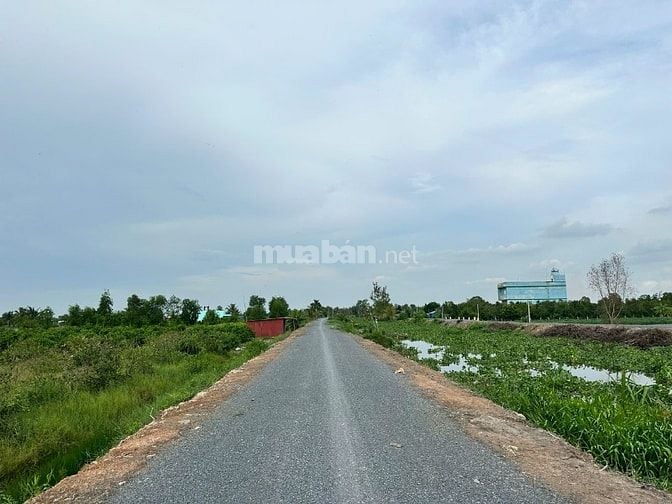 1000mv vườn đường 7 chổ giá chỉ 550 triệu sổ sẵn cong chứng nhanh . 