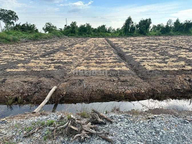 1000mv vườn đường 7 chổ giá chỉ 550 triệu sổ sẵn cong chứng nhanh . 