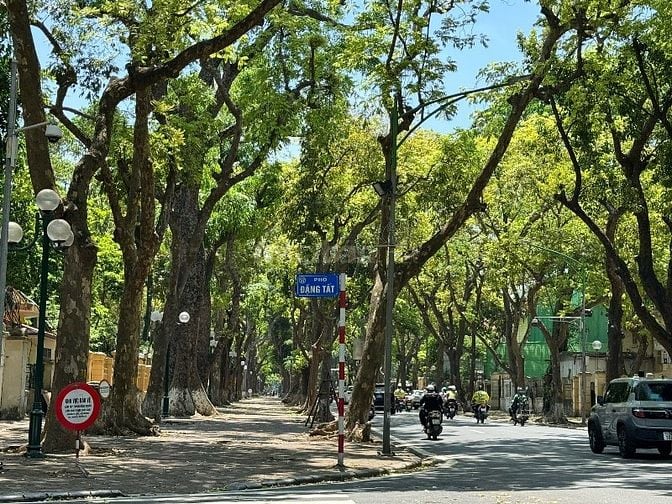 Bán nhà 5 tầng tại khu phố VIP Đặng Tất- Phan Đình Phùng, quận Ba Đình