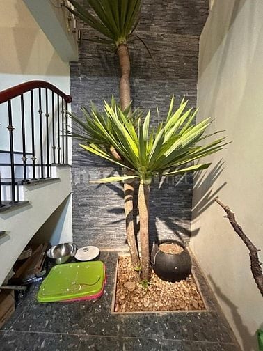 Nhà đẹp phố Thái Hà, diện tích rộng 68m2, gần phố, cách oto chỉ 10m.
