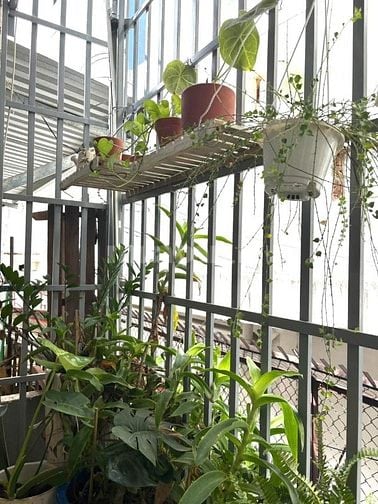 Chuyển công tác nên: Cho Thuê nhà tại hẻm 77/19 Trường Sơn,P15,Q10