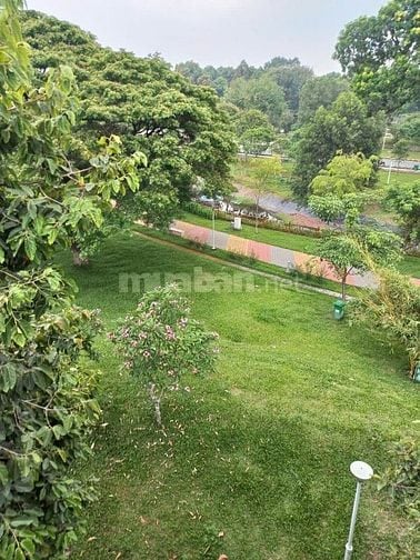CHÍNH CHỦ BÁN NHÀ BẠCH ĐẰNG GẦN SÂN BAY TSN GIÁ TỐT