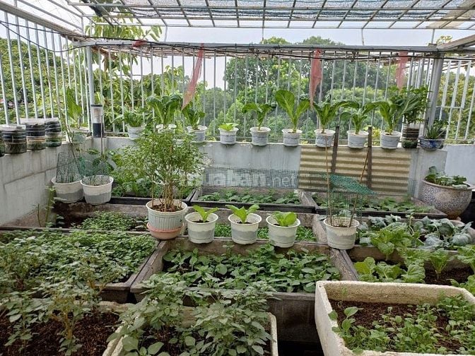 CHÍNH CHỦ BÁN NHÀ BẠCH ĐẰNG GẦN SÂN BAY TSN GIÁ TỐT