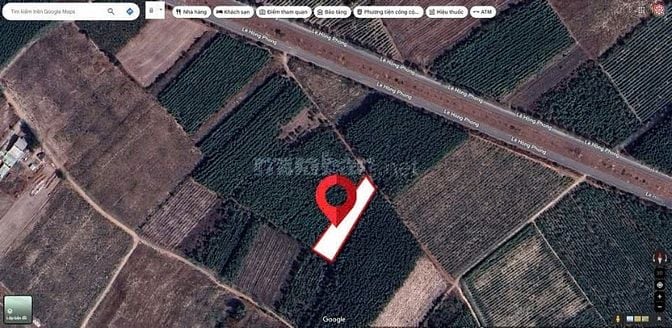 Bán Đất trồng cây lâu năm hơn 2007m2 ngay trung tâm của Nhơn Trạch