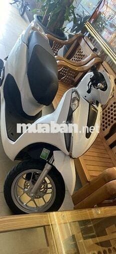 Xe mới chưa đăng ký
