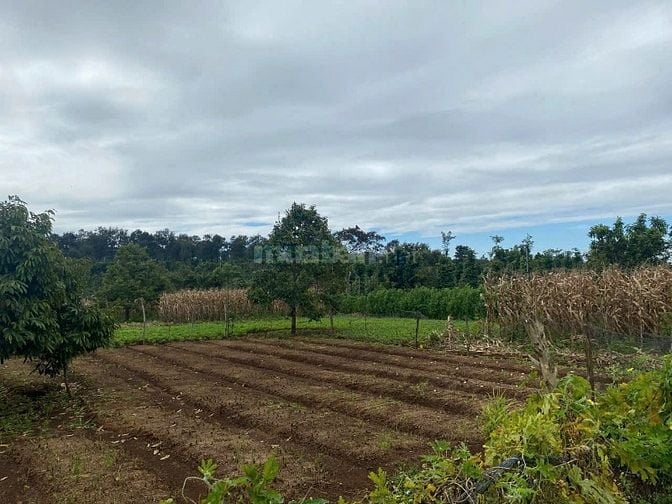 Chỉ 899 Triệu/lô đất có thổ cư, view Hồ đẹp nhất nhì CưMgar - DakLak 