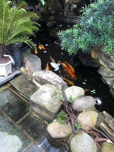 Bán Nhà mặt tiền chính chủ 2PN 1WC, Phạm Văn Đồng, Bà Rịa