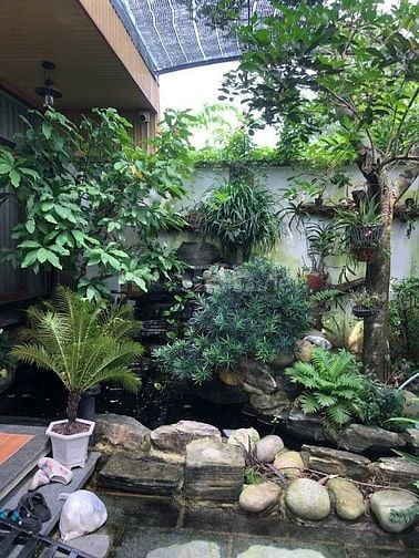 Bán Nhà mặt tiền chính chủ 2PN 1WC, Phạm Văn Đồng, Bà Rịa