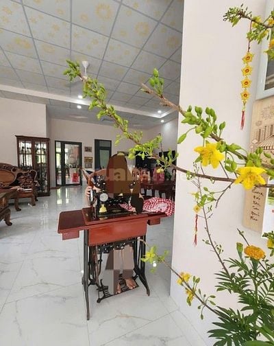 Bán khu nhà vườn mặt tiền Đường 19 Tháng 5, Xã Nhơn Thạnh, TP. Bến Tre