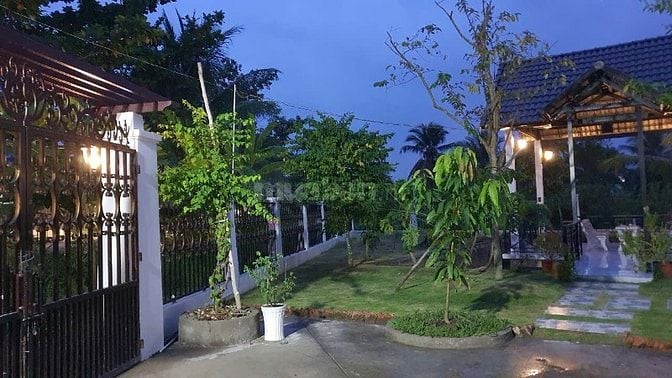 Bán khu nhà vườn mặt tiền Đường 19 Tháng 5, Xã Nhơn Thạnh, TP. Bến Tre