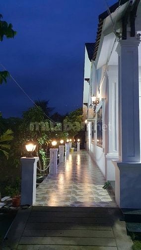 Bán khu nhà vườn mặt tiền Đường 19 Tháng 5, Xã Nhơn Thạnh, TP. Bến Tre