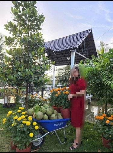 Bán khu nhà vườn mặt tiền Đường 19 Tháng 5, Xã Nhơn Thạnh, TP. Bến Tre