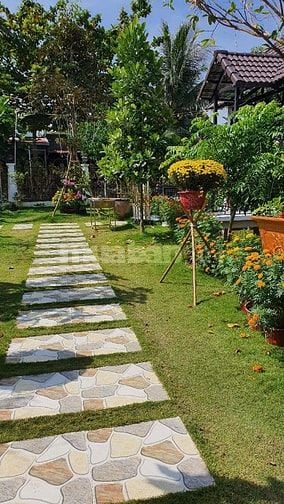 Bán khu nhà vườn mặt tiền Đường 19 Tháng 5, Xã Nhơn Thạnh, TP. Bến Tre