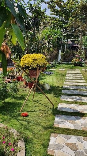 Bán khu nhà vườn mặt tiền Đường 19 Tháng 5, Xã Nhơn Thạnh, TP. Bến Tre