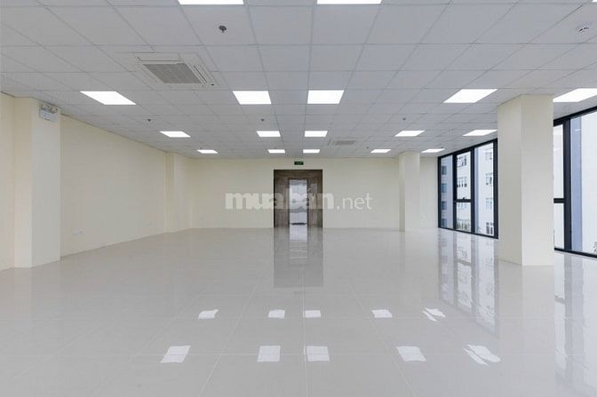 Cho thuê tòa nhà đẹp Nguyễn Chánh, Cầu Giấy: 180m2, 7 tầng, 1 hầm