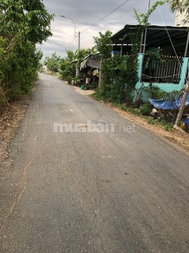 Đất vườn có sổ riêng đường bờ chùa
