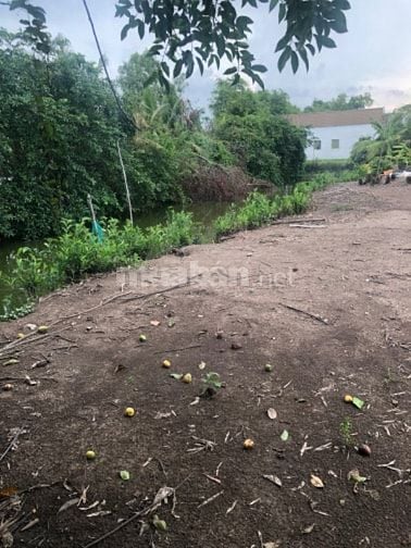 Đất vườn có sổ riêng đường bờ chùa