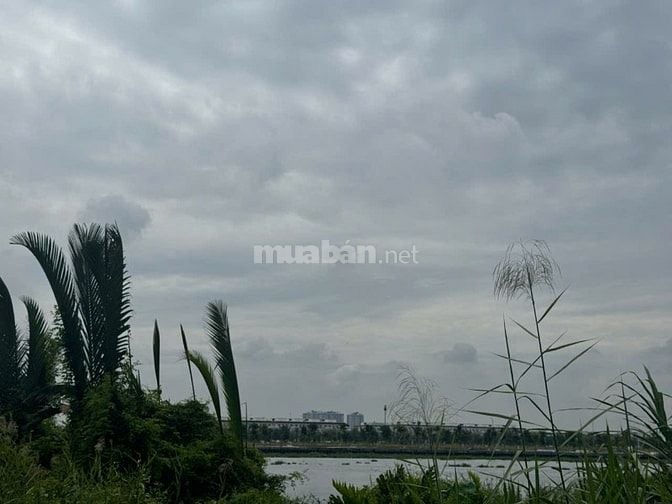 Bán đất MT Sông Sài Gòn, P.An Phú Đông, Q.12: 23 x 100, giá 168 tỷ