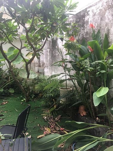 BIỆT THỰ - 203M  - ĐƯỜNG 7M - NGUYỄN DUY TRINH - BÌNH TRƯNG TÂY 