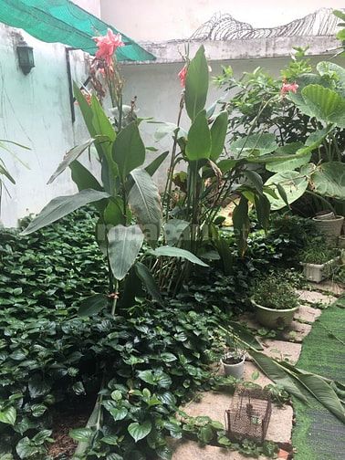 BIỆT THỰ - 203M  - ĐƯỜNG 7M - NGUYỄN DUY TRINH - BÌNH TRƯNG TÂY 