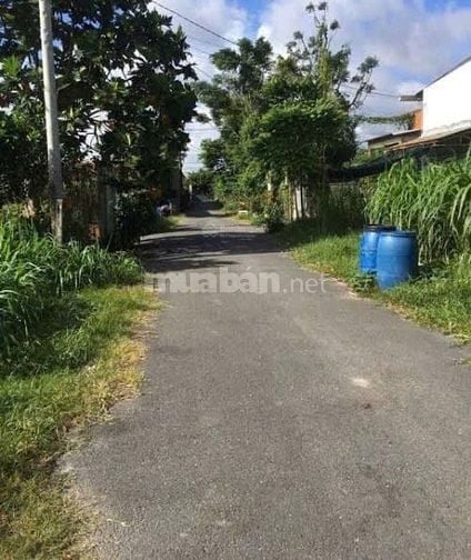 CHỦ GỬI BÁN GẤP LÔ ĐẤT Ở PHƯỚC HIỆP CỦ CHI 153M2 GIÁ 470 TRIỆU 