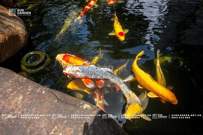 Thiết kế sân vườn biệt thự – 10 nguyên tắc vàng không thể bỏ qua