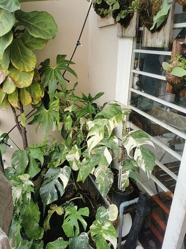 Cho thuê phòng 25/16 Nguyễn Công Hoan, P.7, Q.Phú Nhuận