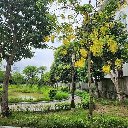 Biệt thự song lập 3 mặt thoáng đường Lê Quang Đạo Quận Nam Từ Liêm