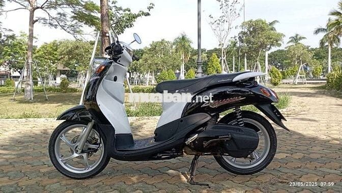 Classico biển 70 Máy thái