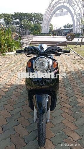 Classico biển 70 Máy thái
