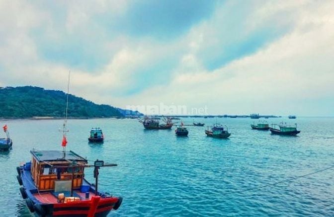  ĐẤT VÀNG GIỮA TRÁI TIM CÔ TÔ - CƠ HỘI ĐẦU TƯ SINH LỜI SIÊU HẤP DẪN 