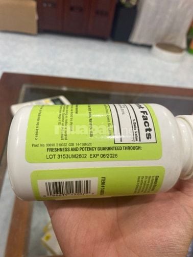 GINKGO BILOBA 120mg (340 viên)