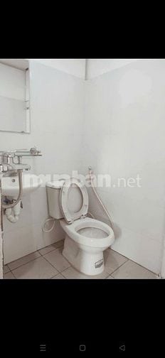 PHÒNG TRỌ 118 NGUYỄN AN NINH, TRẦN ĐẠI NGHĨA KÉO DÀI. DC NUÔI PET