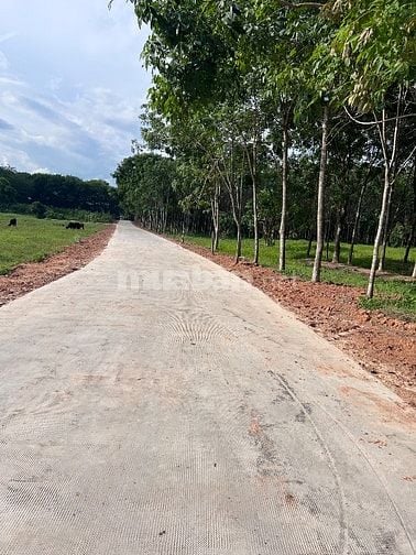 bán đất phù hợp làm kho, xưởng sản xuất