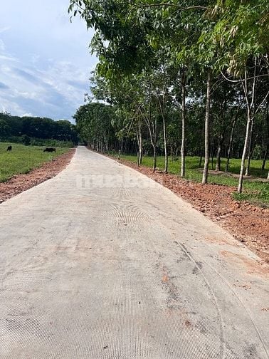 bán đất phù hợp làm kho, xưởng sản xuất