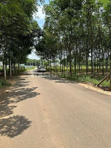 đất nền tân định bến cát bình dương chỉ 390tr 