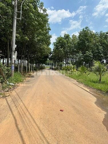 đất nền tân định bến cát bình dương chỉ 390tr 