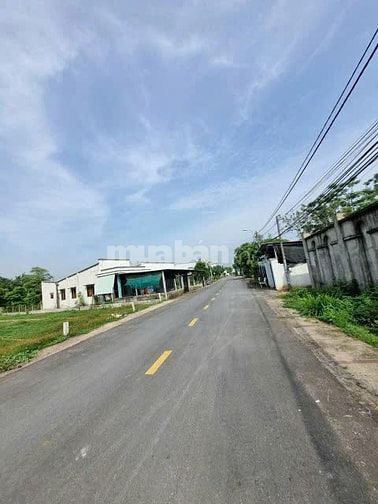 Cần bán 182 m2 đất thổ cư giá 650 triệu Tân Thông Hội, Củ Chi