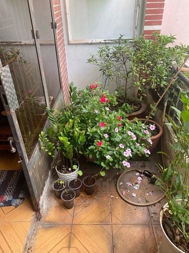 Bán nhà mặt tiền Trường Chinh, hẻm sau là chợ Lạc Quang, buôn bán tốt