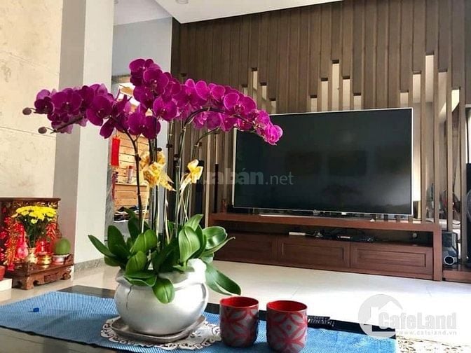 GIẢM 2 TỶ - BIỆT THỰ SIÊU VIP NỞ HẬU ĐẸP