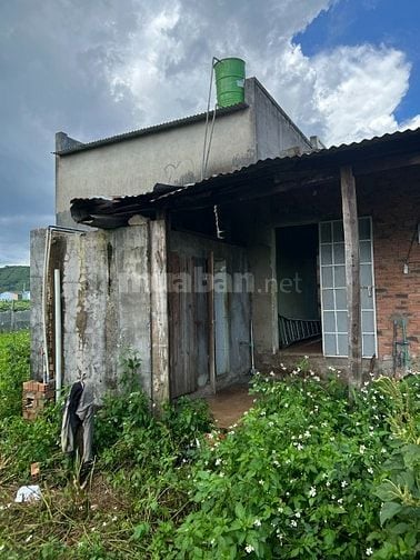 (Chính chủ) [NHÀ ĐẤT - TÂN HỘI - ĐỨC TRỌNG] Nhà ở 1254m2 Gần Chợ Tân H
