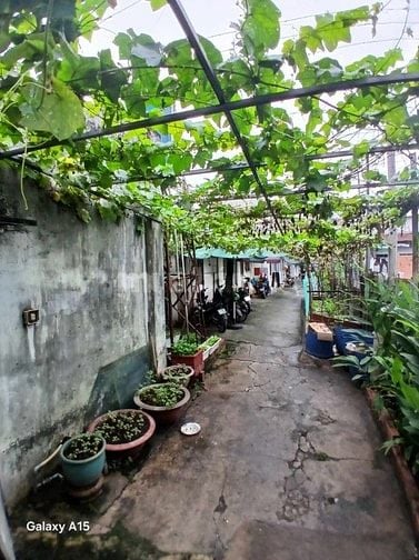 Nhà Mặt Tiền Nguyễn Ảnh Thủ, Quận 12 - 525m2 Thổ Cư - Giá Rẻ!