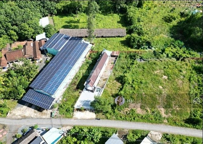 Hạ 400tr bán gấp 545m2 đất thổ vườn tại An Hòa, Trảng Bàng, Tây Ninh