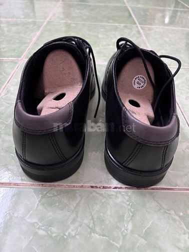 Bán giày tây ecco nam mới, chưa qua sử dụng, size 41