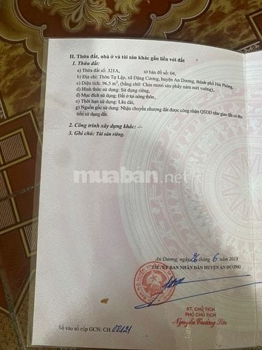 Bán đất mặt đường trục chính Tự Lập, Đặng Cương, An Dương, 96m2, 3,2ỷ