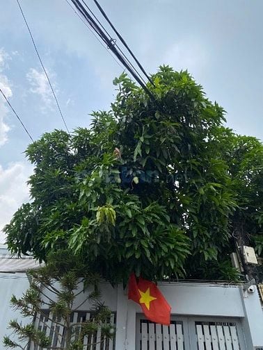 Bán nhà diện tích khuông viên 200m2 - Góc 2 mặt đường xe hơi 8m - Cạnh