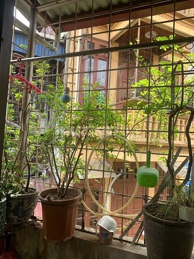Nhà 4T hai mặt tiền trước sau P/Lô ngõ Núi Trúc vỉa hè oto tránh kd tố